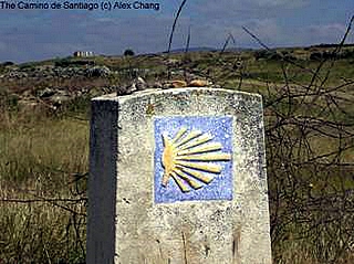 The Camino de Santiago