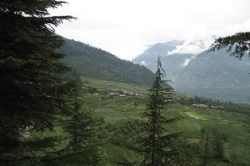 Picture (Carol & Martin Noval) : Kullu Valley