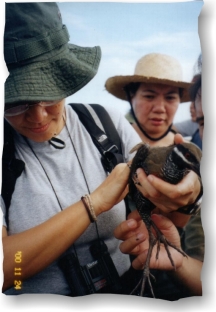 our brief encounter with an injured bird