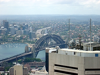 Beetle photo of the Sydney Harbour bridge