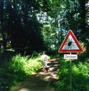 Warning Sign In Woods