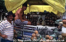 Pinapple sellers in Alegre