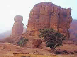 Dogon County