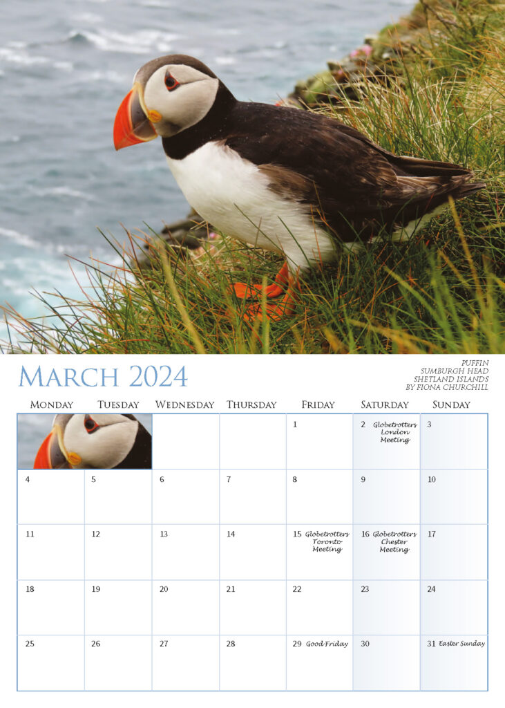 Calendar March 2024 – Puffin Sumburgh Head Shetland Islands by Fiona Churchill
