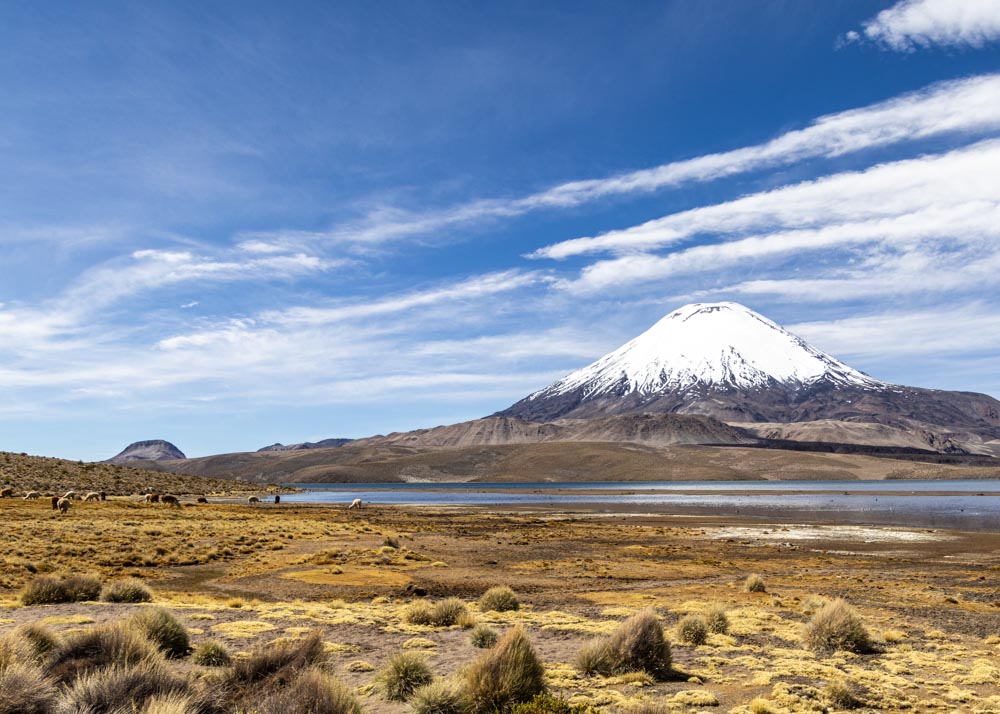 December 2024 - Lauca National Park Altiplano Chile by Juliet Wragge-Morley