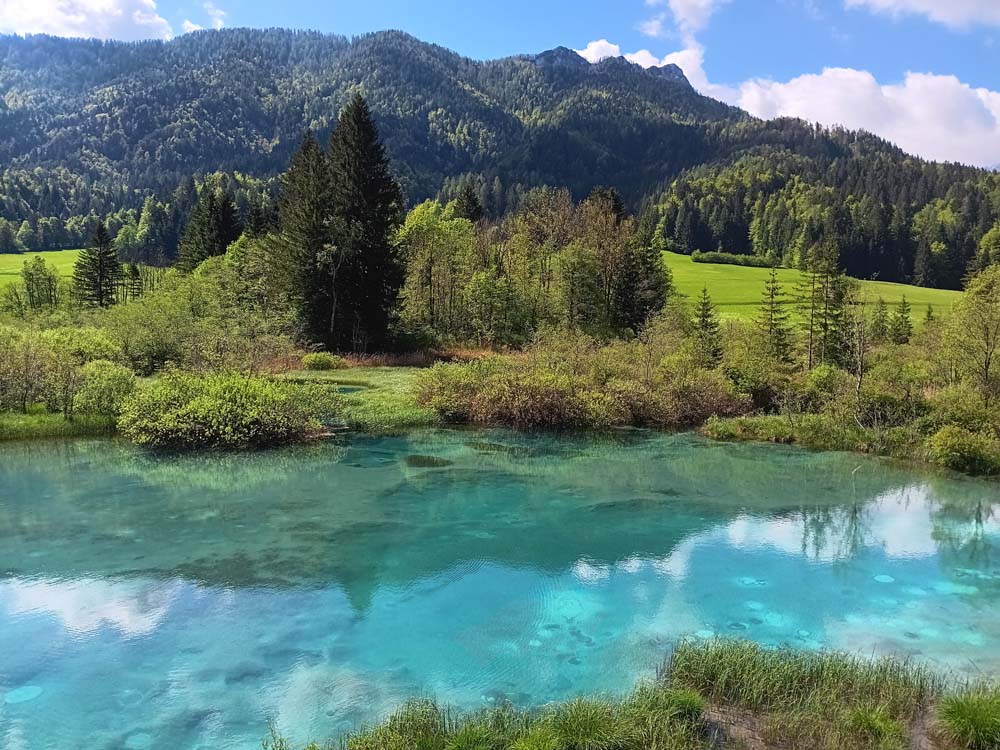 June 2025 – Lake Zelenci, Zelenci Nature Reserve, Slovenia, by Deborah Brunati.