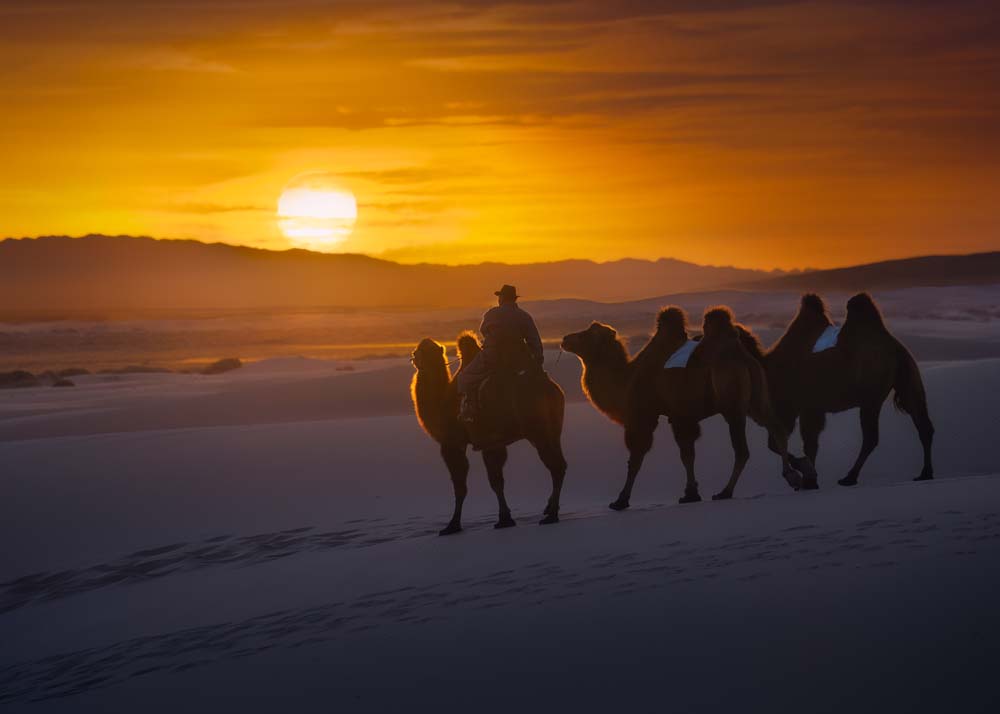 August 2025 – Gobi Sunset, Khongor Dunes, Mongolia, by Diana Barthauer.