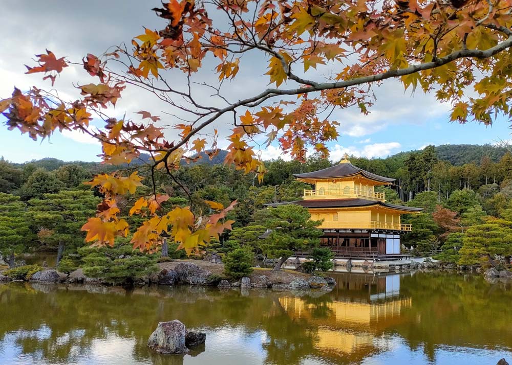October 2026 Kinkaku-Ji (Golden Pavilion) In Autumn Kyoto Japan By Rosemary J Brown