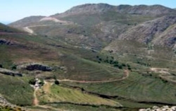 Picture courtesy of Jennifer Barclay : Tilos &ndash; where Goats do roam !